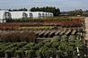 Refocussing on experts and the retail sector are useful strategies as amenity growers attempt to dodge the axe of government cuts - image: HW