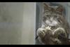 Private View: Lewis Beaton & Alex Moore and Tom Callard