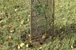 How to buy - Tree guards and shelters
