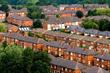 Arboriculture - The value of trees