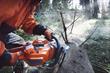 How to buy - Chainsaws