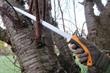 How to buy - Arboriculture kit