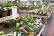 Ten ways to sell more ... Spring bedding