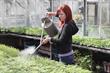 Growing business - careers in garden retail and production horticulture