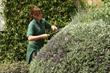 Plant heritage - a career as a professional gardener