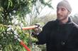 Green space guardians - A career in parks, arboriculture and sports groundskeeping and management
