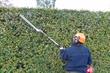 Reviewed - Handheld hedge trimmers
