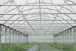 Market report - Polytunnels