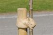 How to buy - Tree stakes and ties
