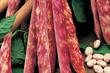 10 ways to sell ... packet seeds