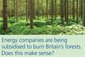 The7stars sends biomass lobbying ads to MPs