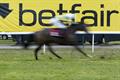Arena wins £15m pan-European Betfair business
