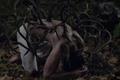 Credit Suisse 'metamorphosis' by Euro RSCG London