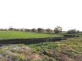 New road at Cradlebridge peat extraction site considered not to increase impacts
