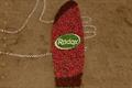 Radox 'come to life' by WCRS Radox 'come to life' by WCRS