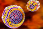 Promising results for new lipid-modifying drug