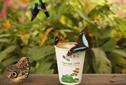 The coffee supplier Miko has raised money for the protection of areas of rainforest in South America
