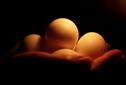 BLOG: The UK needs to take some of its eggs out of Asia's basket