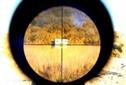 BUSINESS BULLET: Focus. Focus. Focus