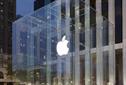 Senate takes a bite of Apple, sees terrible tax truth