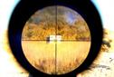 BUSINESS BULLET: How to reposition your business