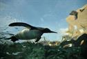 MT Expert: Be the penguin of your industry