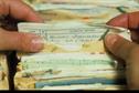Medico-legal - Patients' records after death