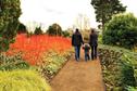 GP Recommendation - A winter garden to visit