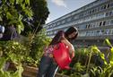 MPs want local plans to back healthy food drive