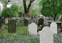Appeal rejected over 'significant harm' to burial ground