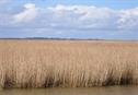 Norfolk turbine High Court fight begins