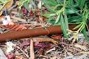 Market report - Landscape and turf irrigation