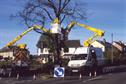 Arboriculture - Impact of budgets under pressure