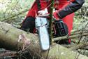 Solo 651 chainsaw