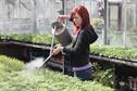 Growing business - careers in garden retail and production horticulture