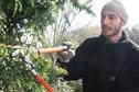 Green space guardians - A career in parks, arboriculture and sports groundskeeping and management