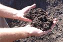 Soil fertility - Friendly microbes