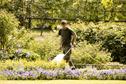 Green Space Management - Beware the loss of crucial local knowledge