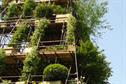 Visitors need to catch Diarmuid Gavin's eye to gain access to Chelsea garden