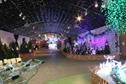 Christmas garden centre sales beat 2011