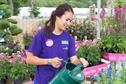 Garden Centre Group launches apprenticeship scheme with Pershore College