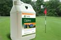 Clipless turf regulator