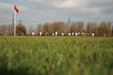Turf - Smarter water use
