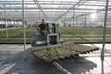 Nursery stock Grower of the Year
