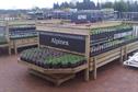 Grower of the Year - Ornamentals