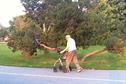 Amenity landscape: The therapeutic role of green space