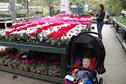 Plimsoll reveals 56 emerging garden centre market leaders