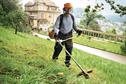 How to buy - Bike-handled brushcutters