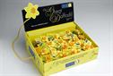 Marie Curie Cancer Care