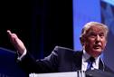 Trump: the sweet smell of Success